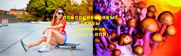 дживик Богданович