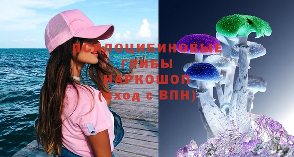 дживик Богданович