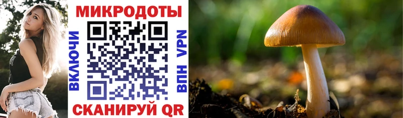 OMG tor  Долинск  Псилоцибиновые грибы MAGIC MUSHROOMS 