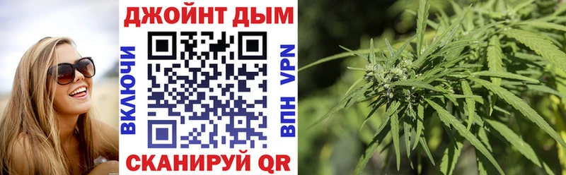 дарнет шоп  Долинск  Конопля ГИДРОПОН 